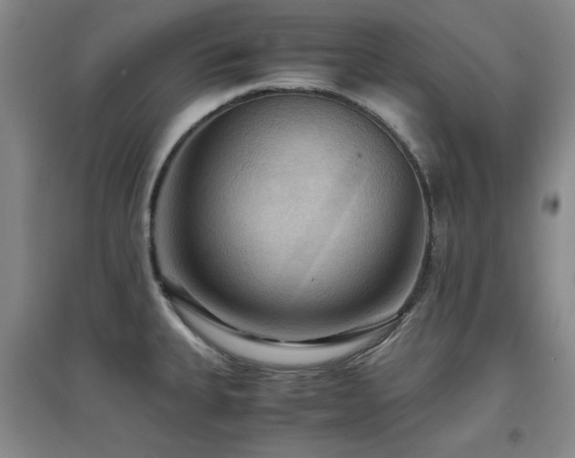 X0000097661335200802291417