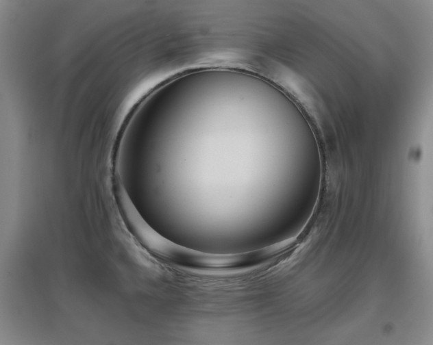 X0000097661336200802291417