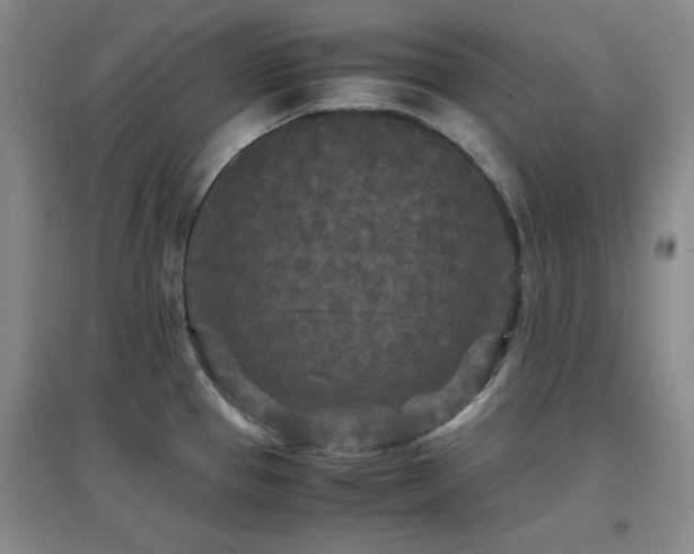 X0000097661337200802291417