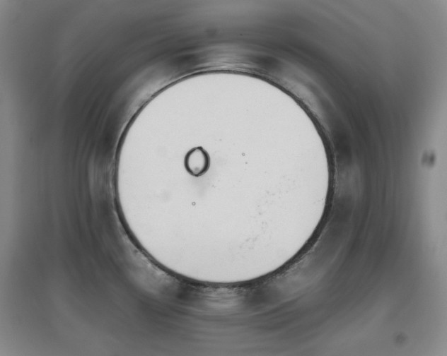 X0000097661338200802291417