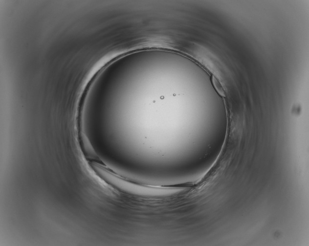 X0000097661339200802291417