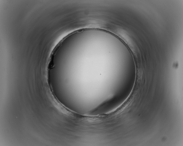 X0000097661340200802291417