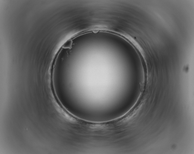 X0000097661341200802291417