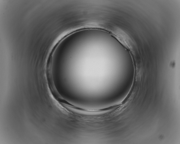 X0000097661342200802291417