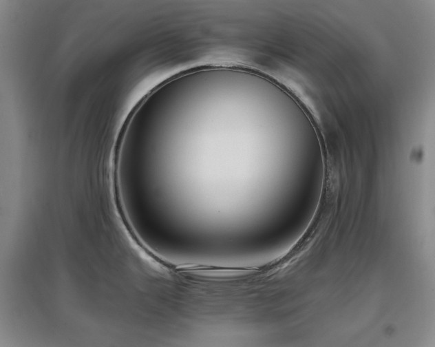 X0000097661343200802291417