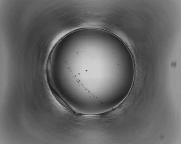 X0000097661344200802291417