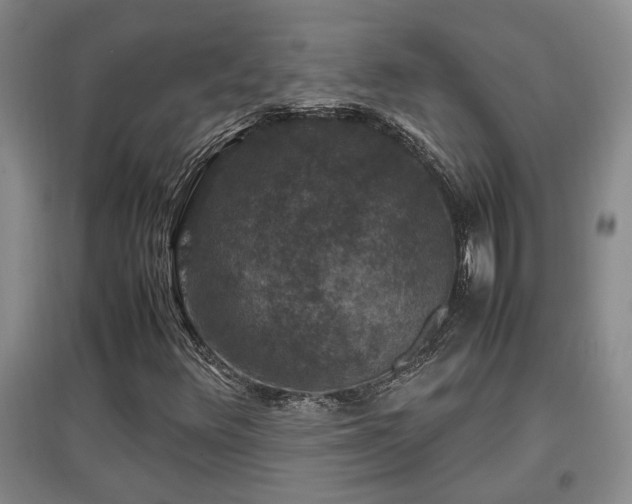 X0000097661348200802291416