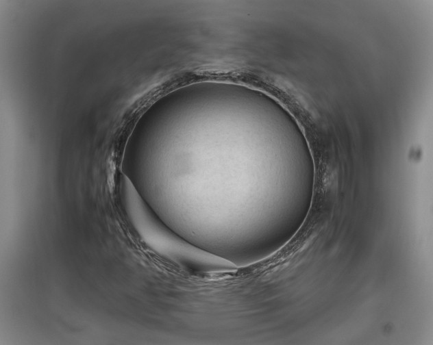 X0000097661350200802291416