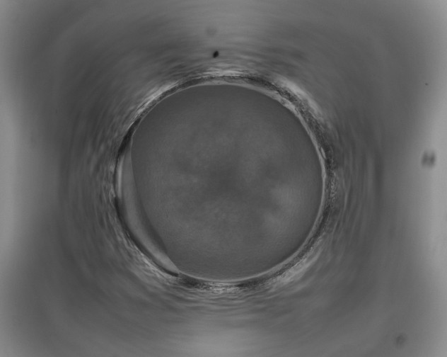 X0000097661353200802291416