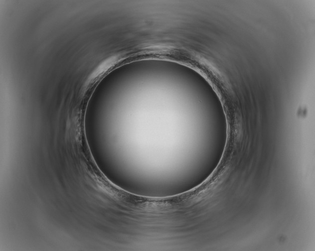 X0000097661354200802291416