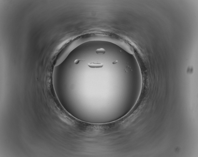 X0000097661355200802291416