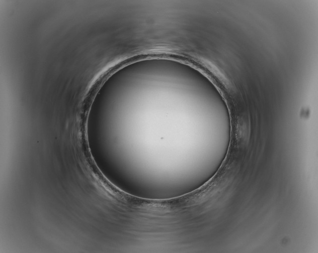 X0000097661356200802291416