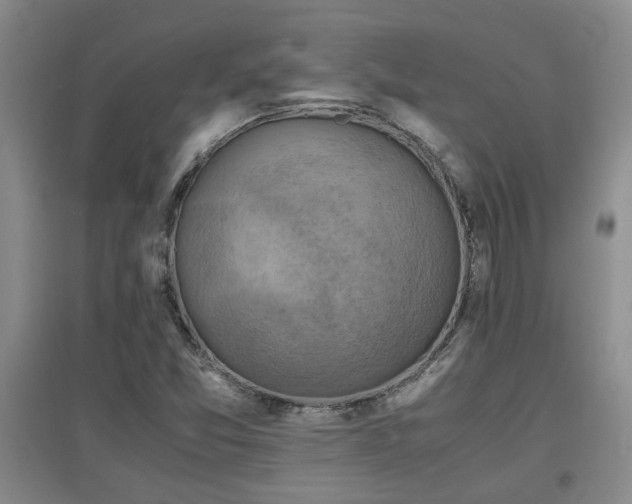 X0000097661357200802291416