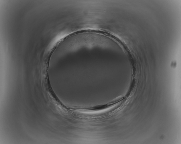 X0000097661359200802291416