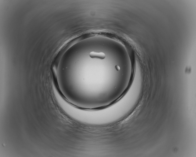 X0000097661361200802291416