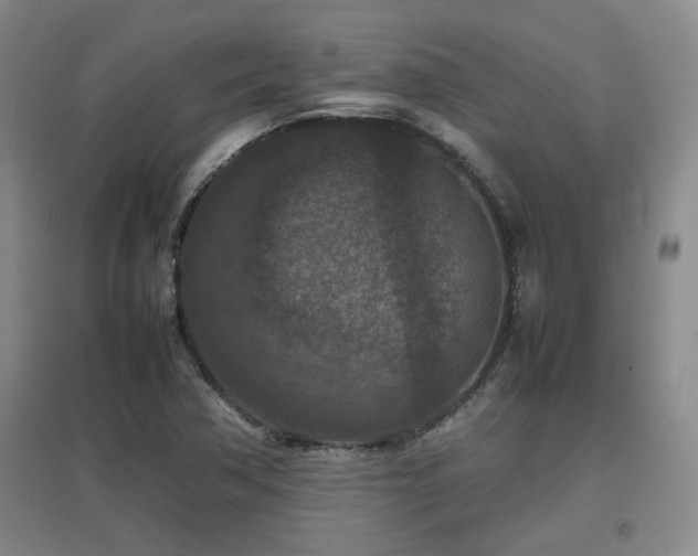 X0000097661362200802291416