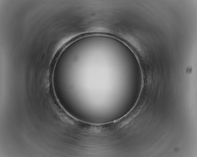 X0000097661364200802291416