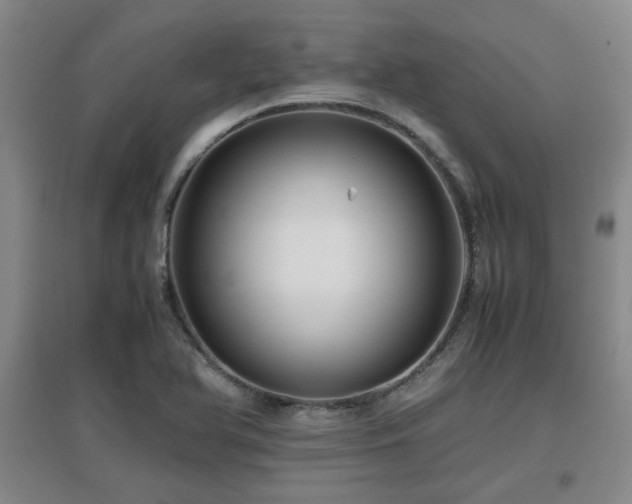 X0000097661366200802291416