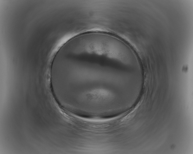 X0000097661367200802291416