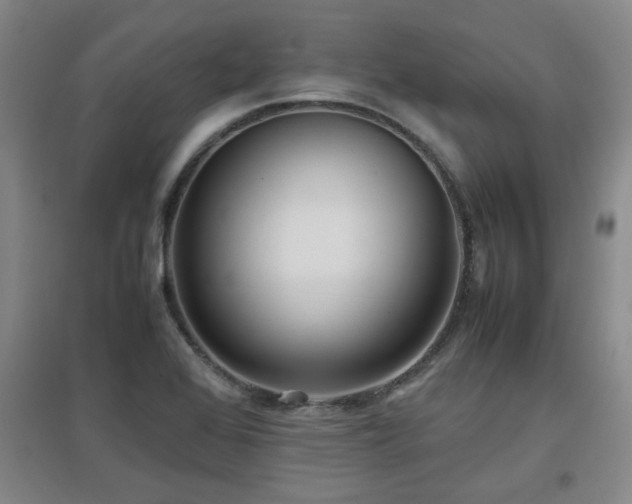 X0000097661368200802291416