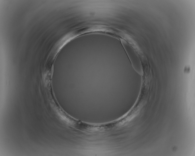 X0000097661369200802291416