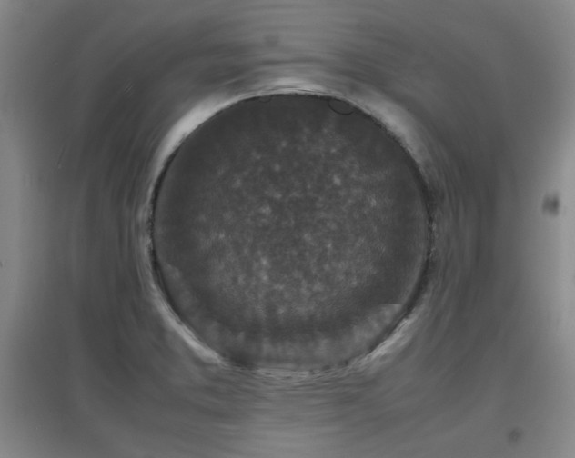 X0000097661373200802291416