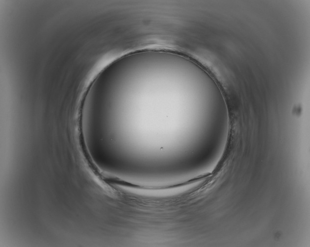 X0000097661375200802291416