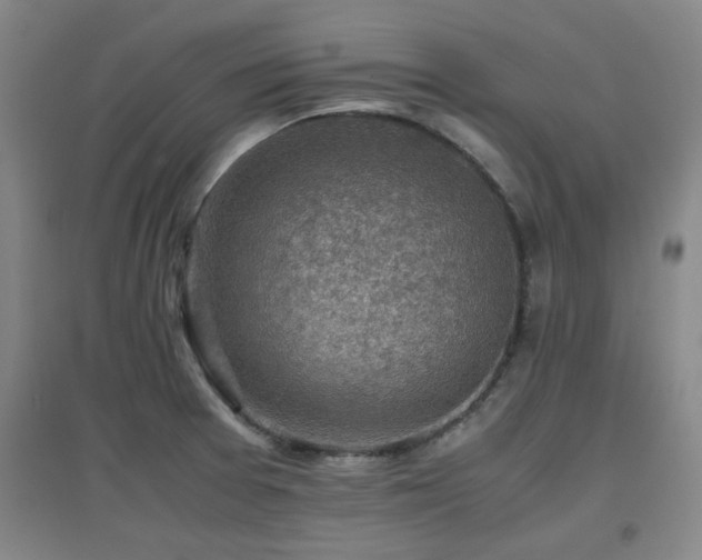 X0000097661377200802291416