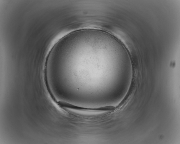 X0000097661379200802291416