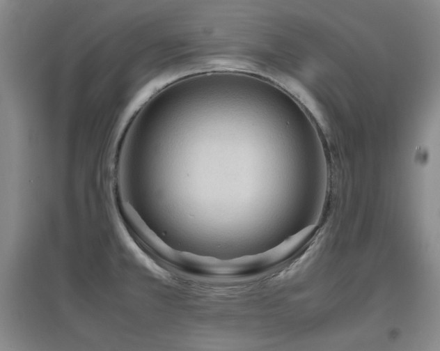 X0000097661381200802291416