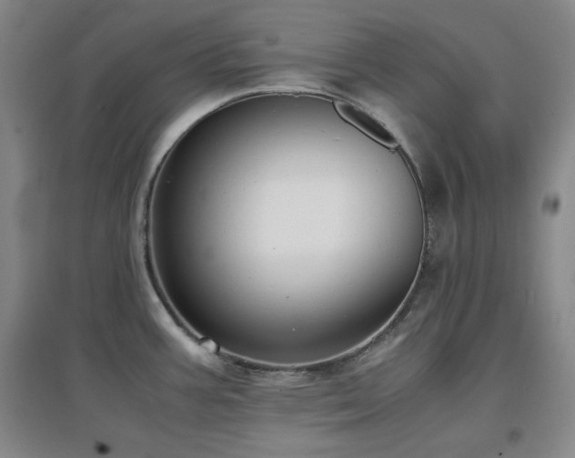 X0000097661387200802291416