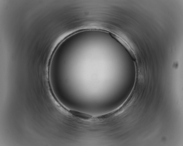 X0000097661388200802291416