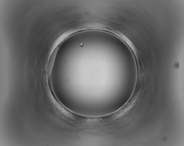 X0000097661389200802291416
