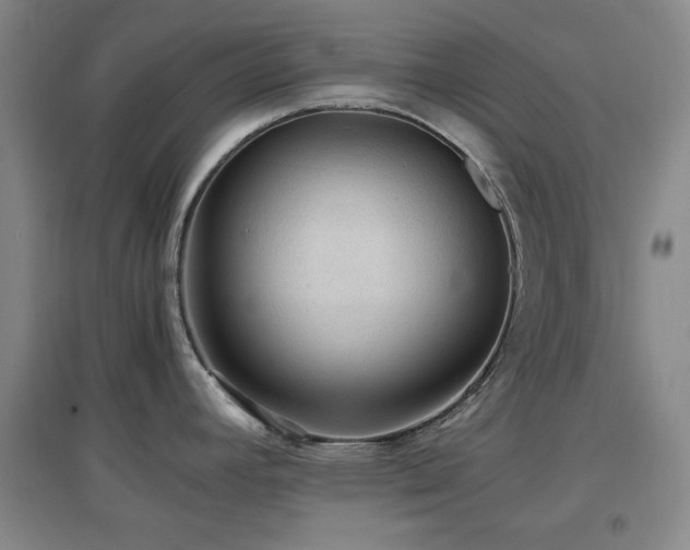 X0000097661392200802291415
