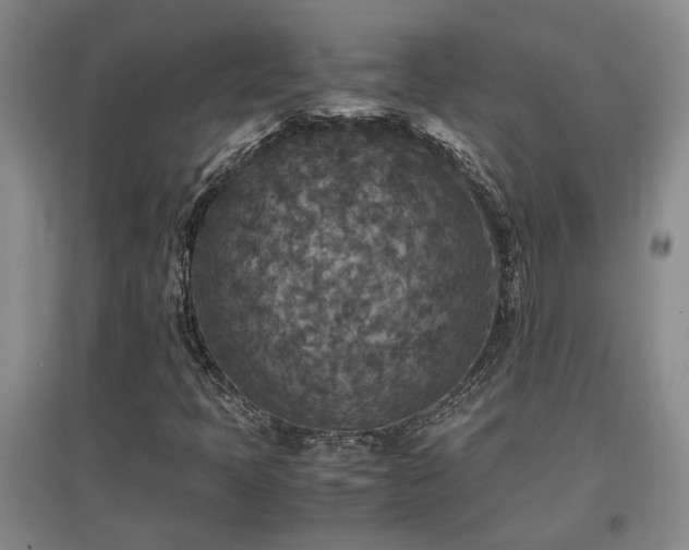 X0000097661397200802291415