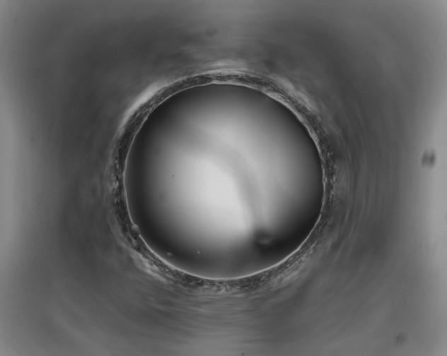 X0000097661400200802291415