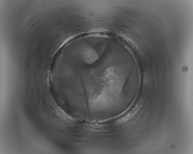 X0000097661401200802291415