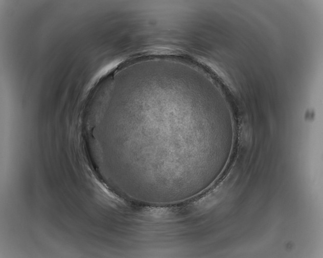 X0000097661402200802291415