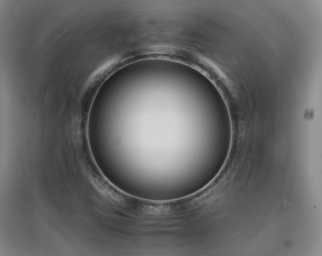 X0000097661403200802291415