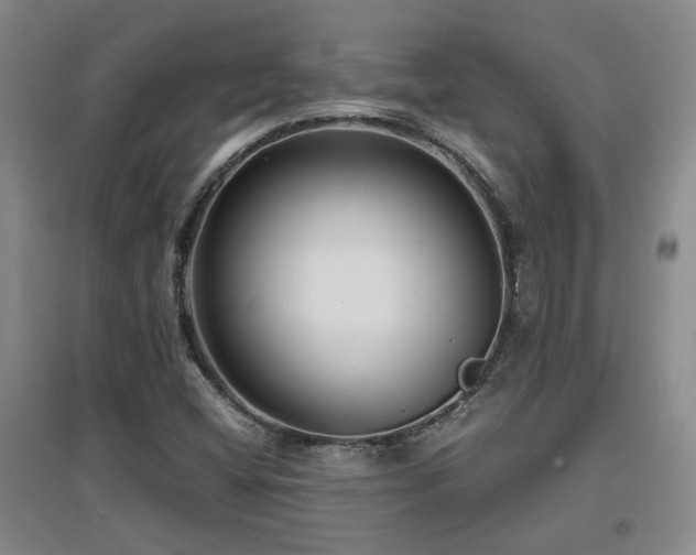 X0000097661404200802291415