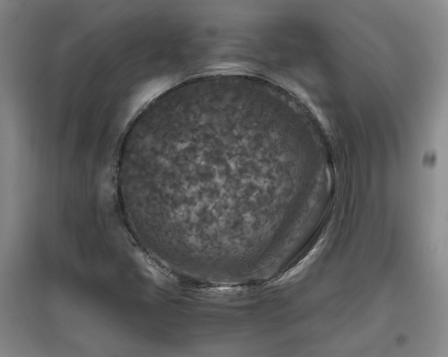 X0000097661405200802291415