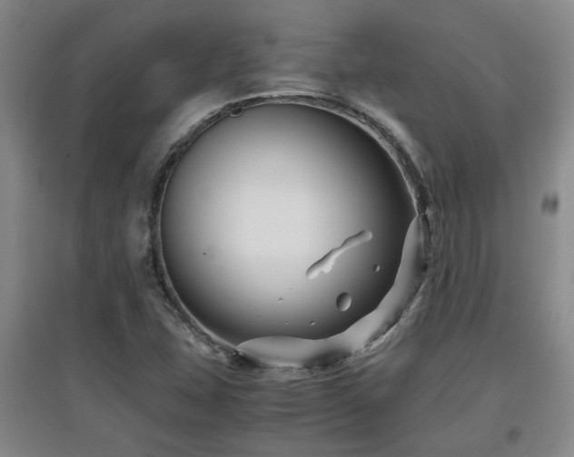 X0000097661407200802291415
