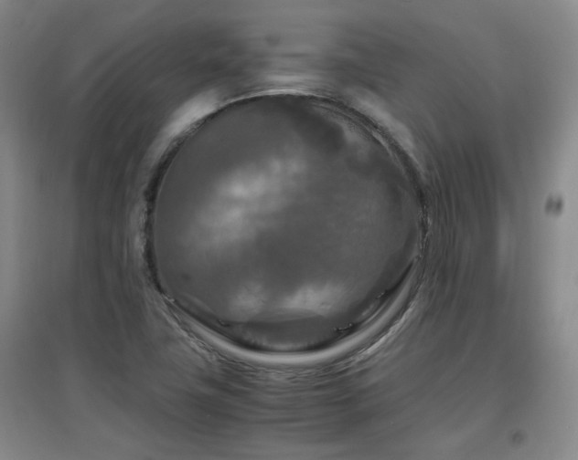 X0000097661411200802291415