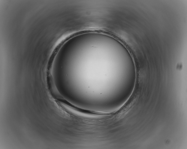 X0000097661412200802291415