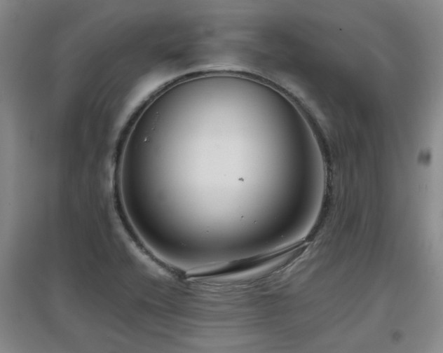X0000097661416200802291415