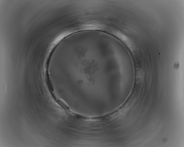 X0000097661419200802291415