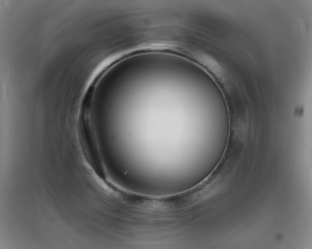 X0000097661420200802291415