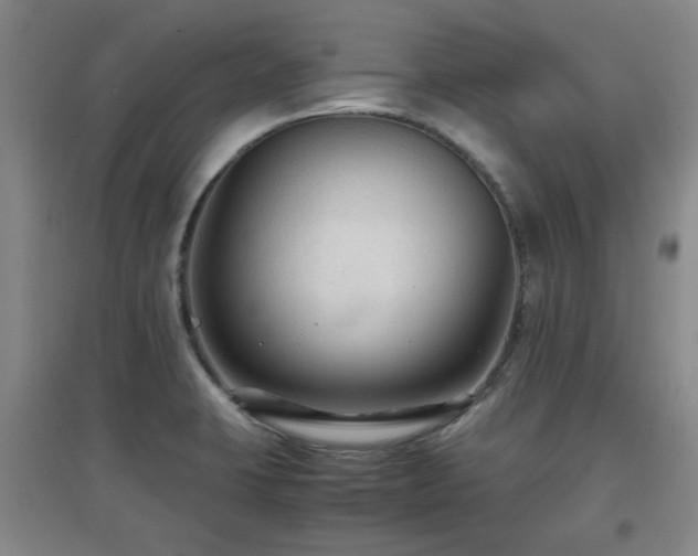 X0000097661423200802291415