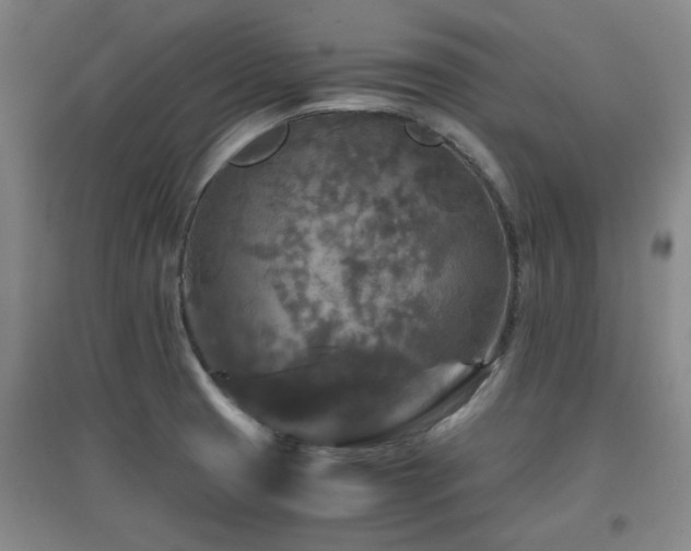 X0000097661425200802291415