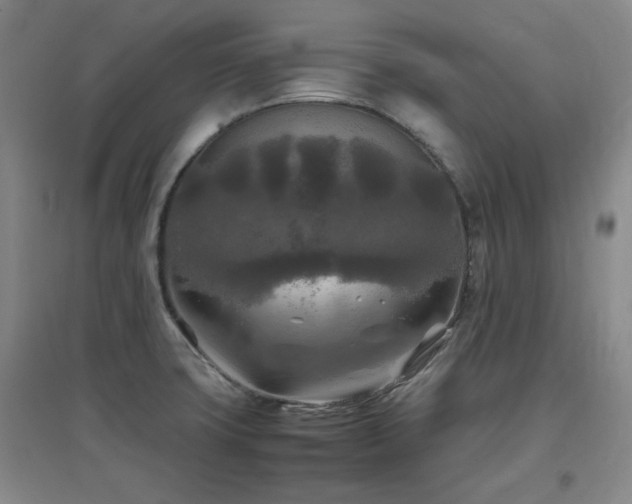 X0000097661427200802291415